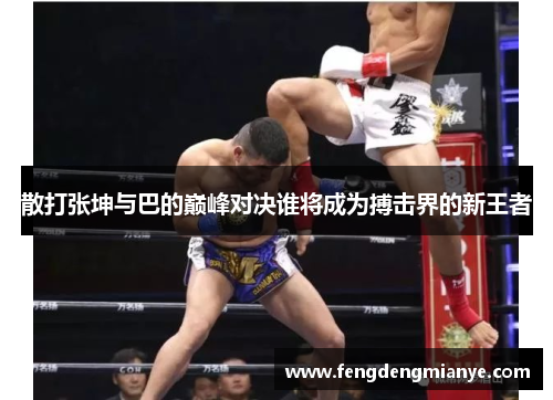 散打张坤与巴的巅峰对决谁将成为搏击界的新王者